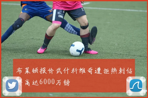 布莱顿报价武什科维奇遭拒热刺估价高达6000万镑